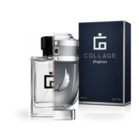 Perfume Inspiración  Victoryum Platinum Paco Rabbane